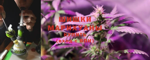дмт Вяземский