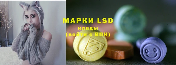 дмт Вяземский