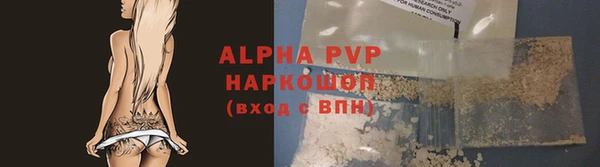 СК Володарск