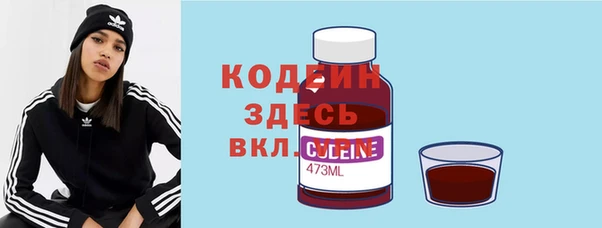 дмт Вяземский