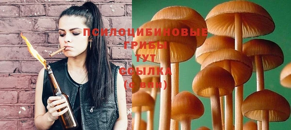 молекула духа Вязники