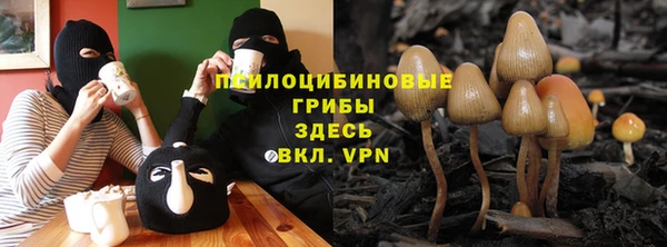 дмт Вяземский