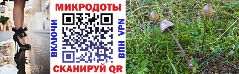 Псилоцибиновые грибы Psilocybe где купить наркоту Миасс